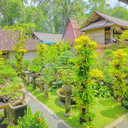 Rumah Keluarga Bali Διαμέρισμα Ουμπούντ Εξωτερικό φωτογραφία